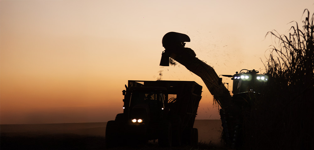 Como a cintilação afeta o sinal de correção na agricultura de precisão